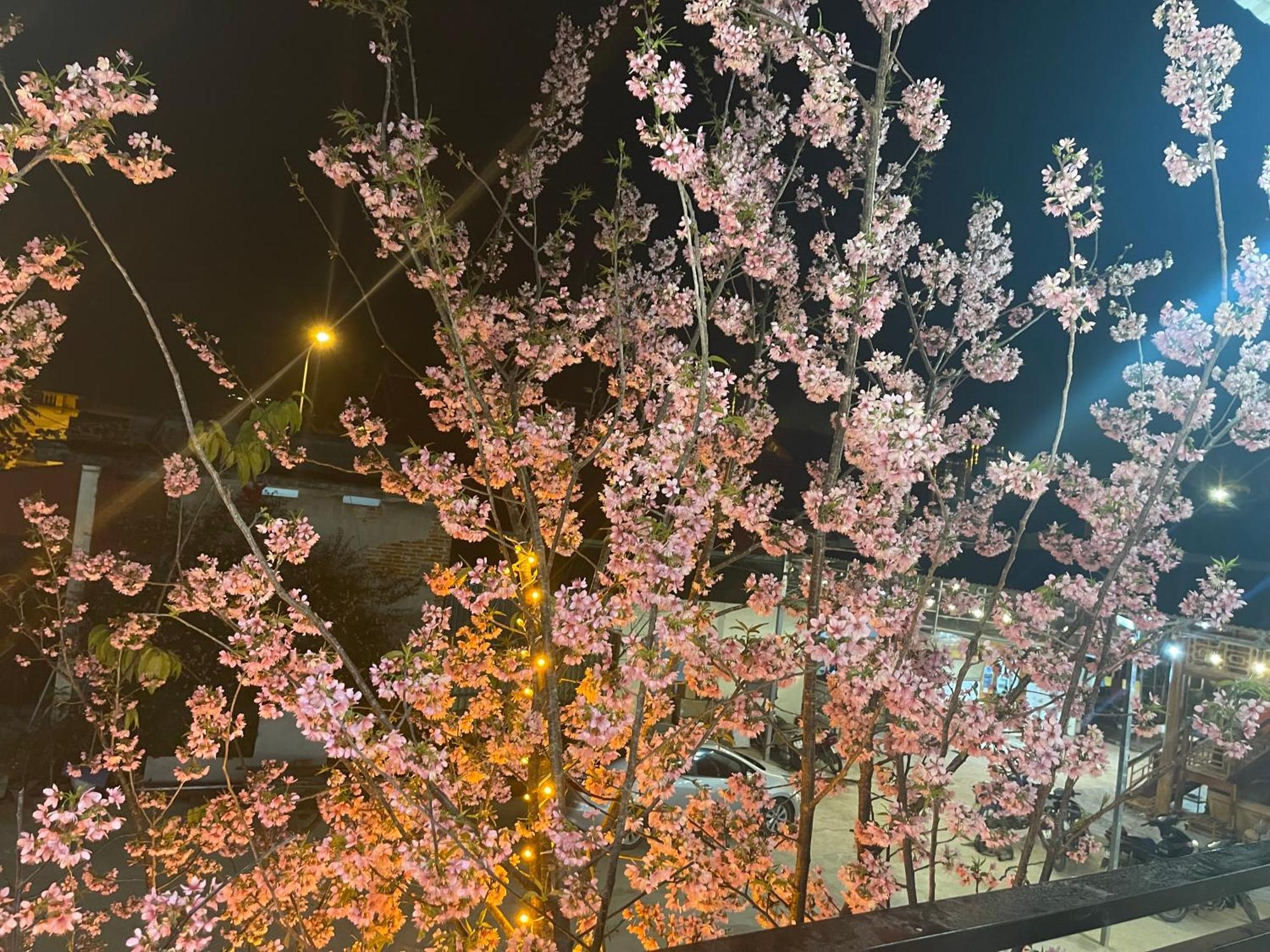 ホテル Bin House - モクチャウ エクステリア 写真