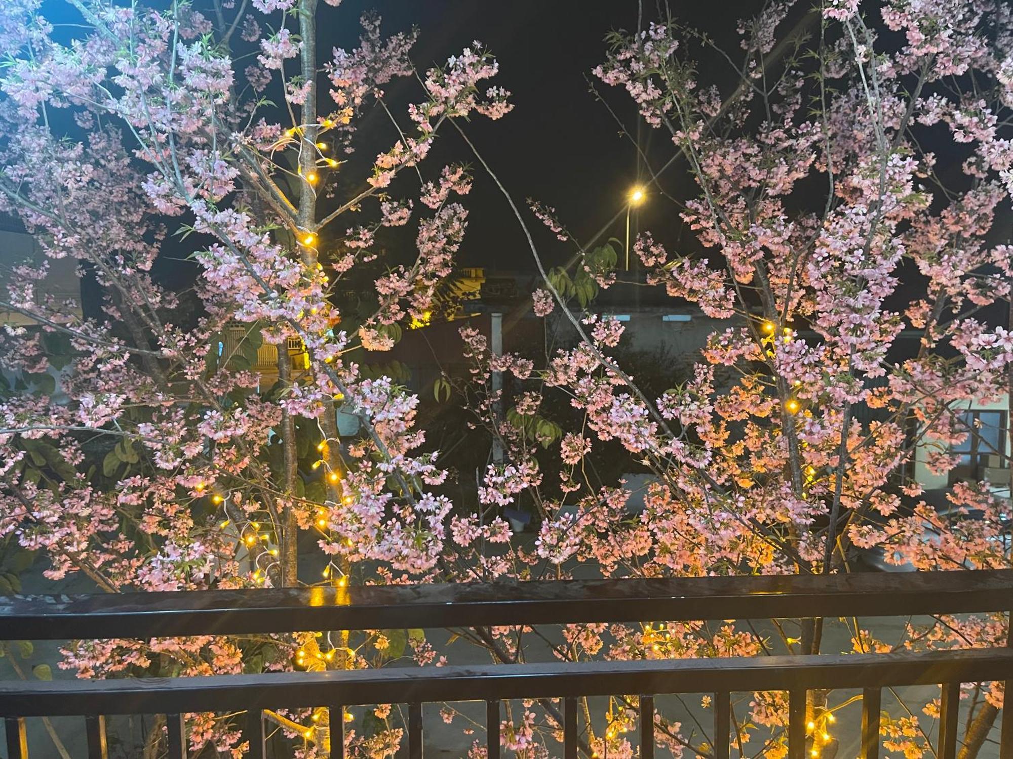 ホテル Bin House - モクチャウ エクステリア 写真